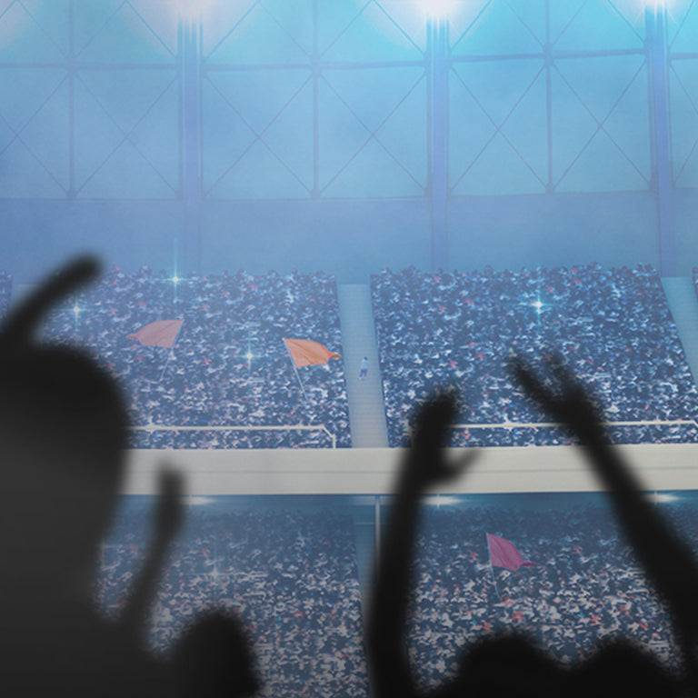 UFC arena with crowd