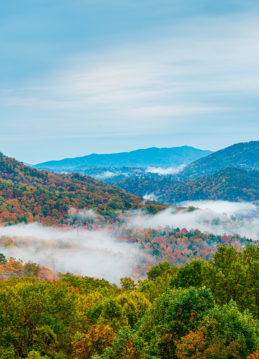 TW2Y32100 - Great Smokey Mountains National Park
