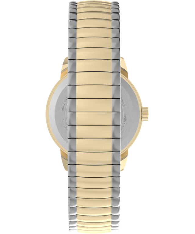 T2H381 Easy Reader 25mm Bracelet Watch Strap Image