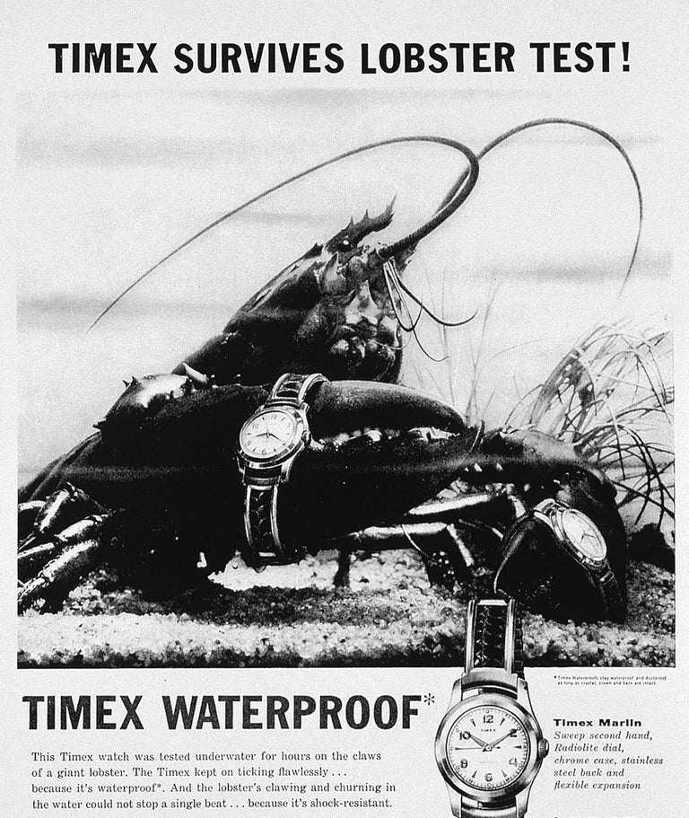 Vintage ad showing the durability of Timex watches by passing "the lobster test"