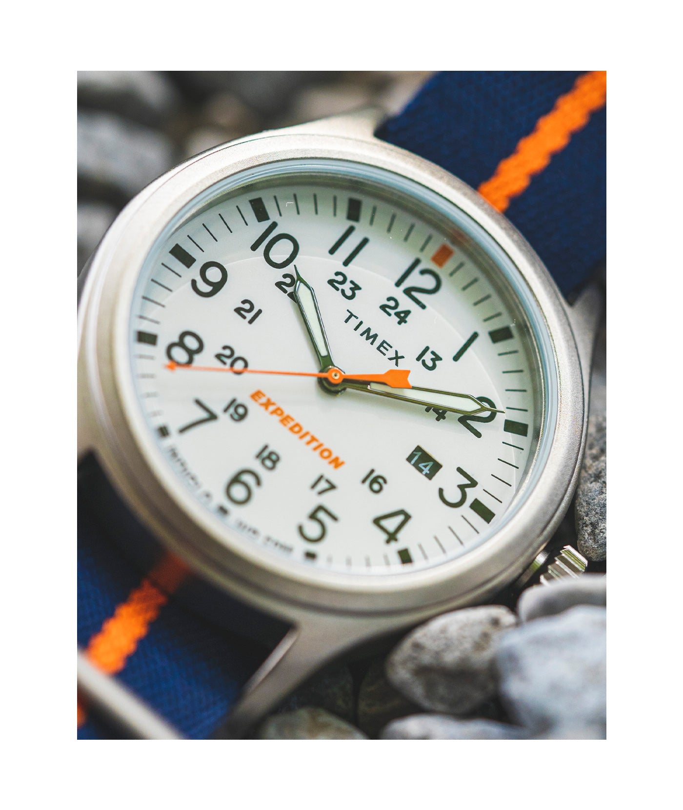 Timex | Expedition North | Timex US