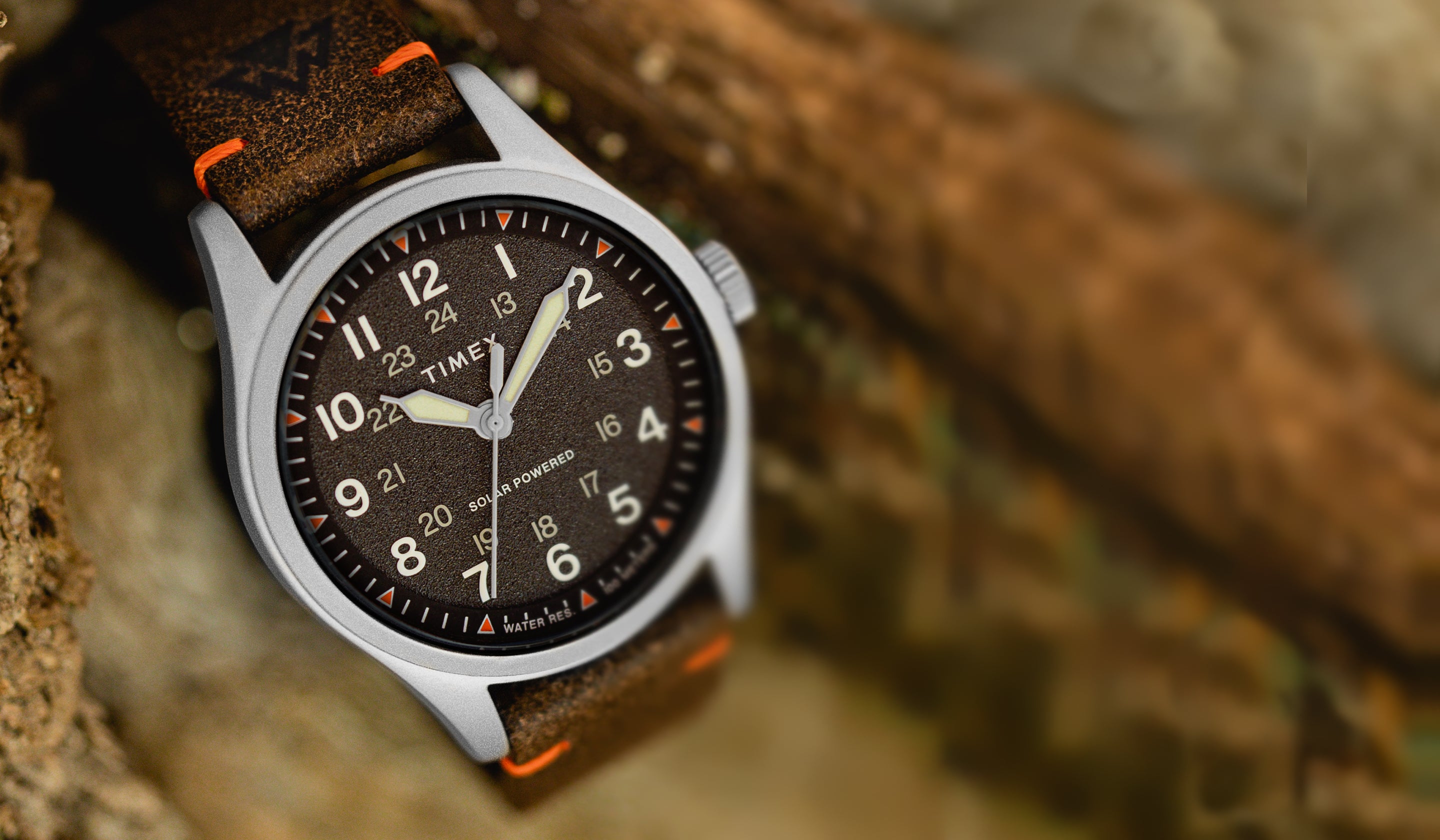 Timex expedition cheap 36mm