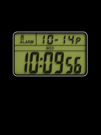 タイマー 1707_30_M01_f224.jpg