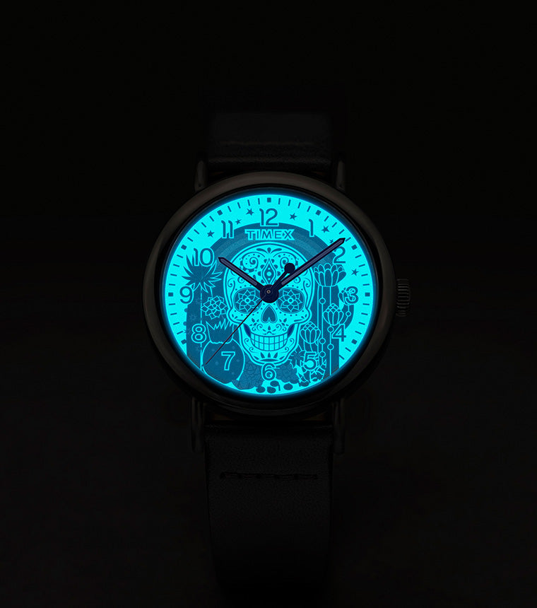 Timex Weekender Day of the Dead 40mm Leather Strap Watch