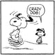 Peanuts® comic strip showing Snoopy joyfully dancing while a girl watches with an unimpressed expression and says, “Crazy dog!”