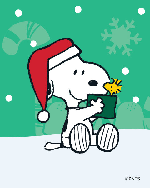 Timex Standard x Peanuts Featuring Snoopy Autumn - TW2U86200