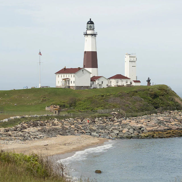A coastal lighthouse with red-roofed buildings, grassy hill, and rocky shoreline along the ocean.