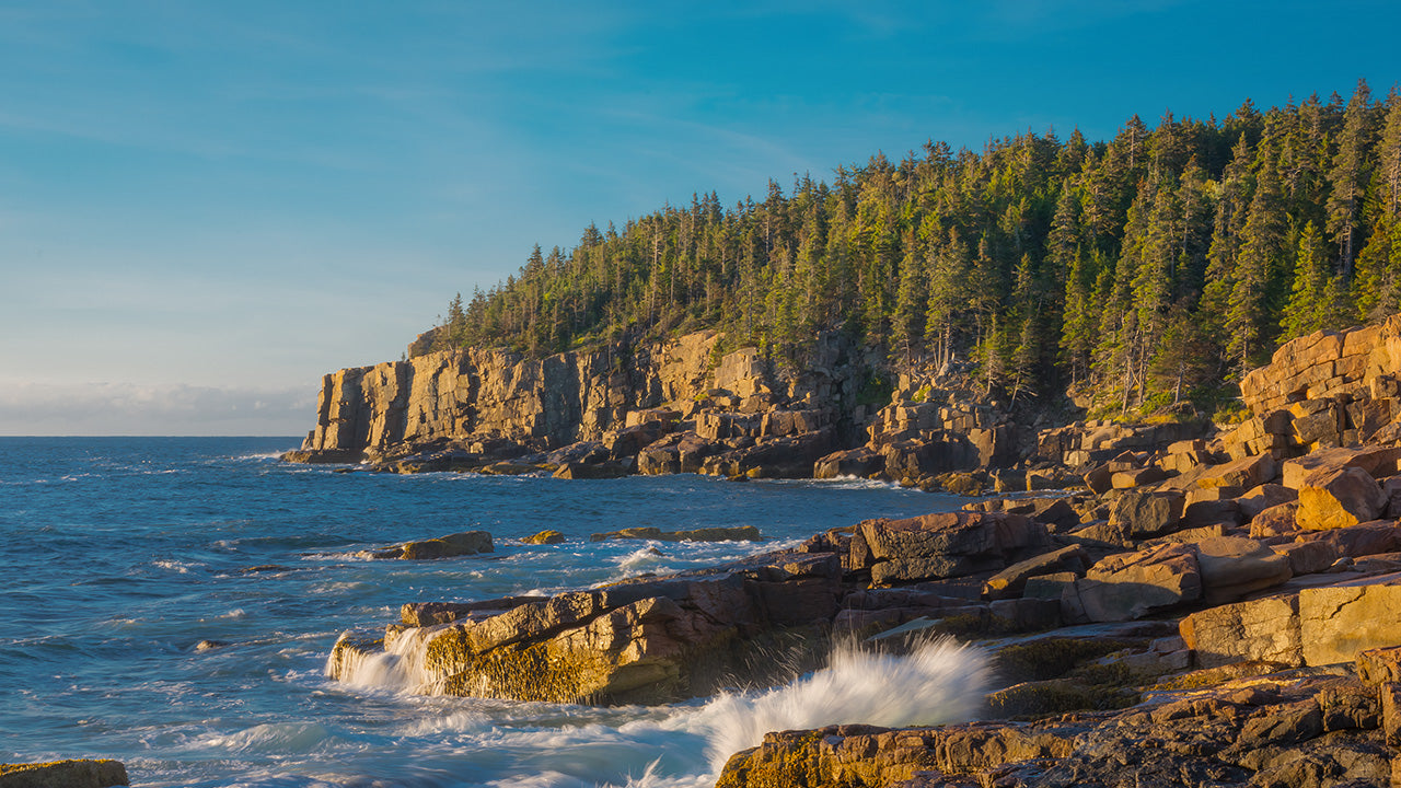 Scenic coastal view of Acadia National Park showing rugged cliffs, pine trees, and ocean waves under a bright blue sky.