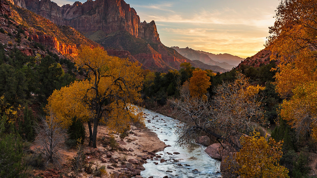 Sunset view of Zion National Park showing a winding river surrounded by red rock cliffs and autumn trees with golden leaves.