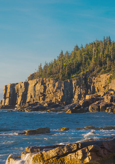 Scenic coastal view of Acadia National Park showing rugged cliffs, pine trees, and ocean waves under a bright blue sky.