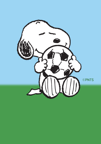 Snoopy sitting and holding a soccer ball on a blue sky and green field background
