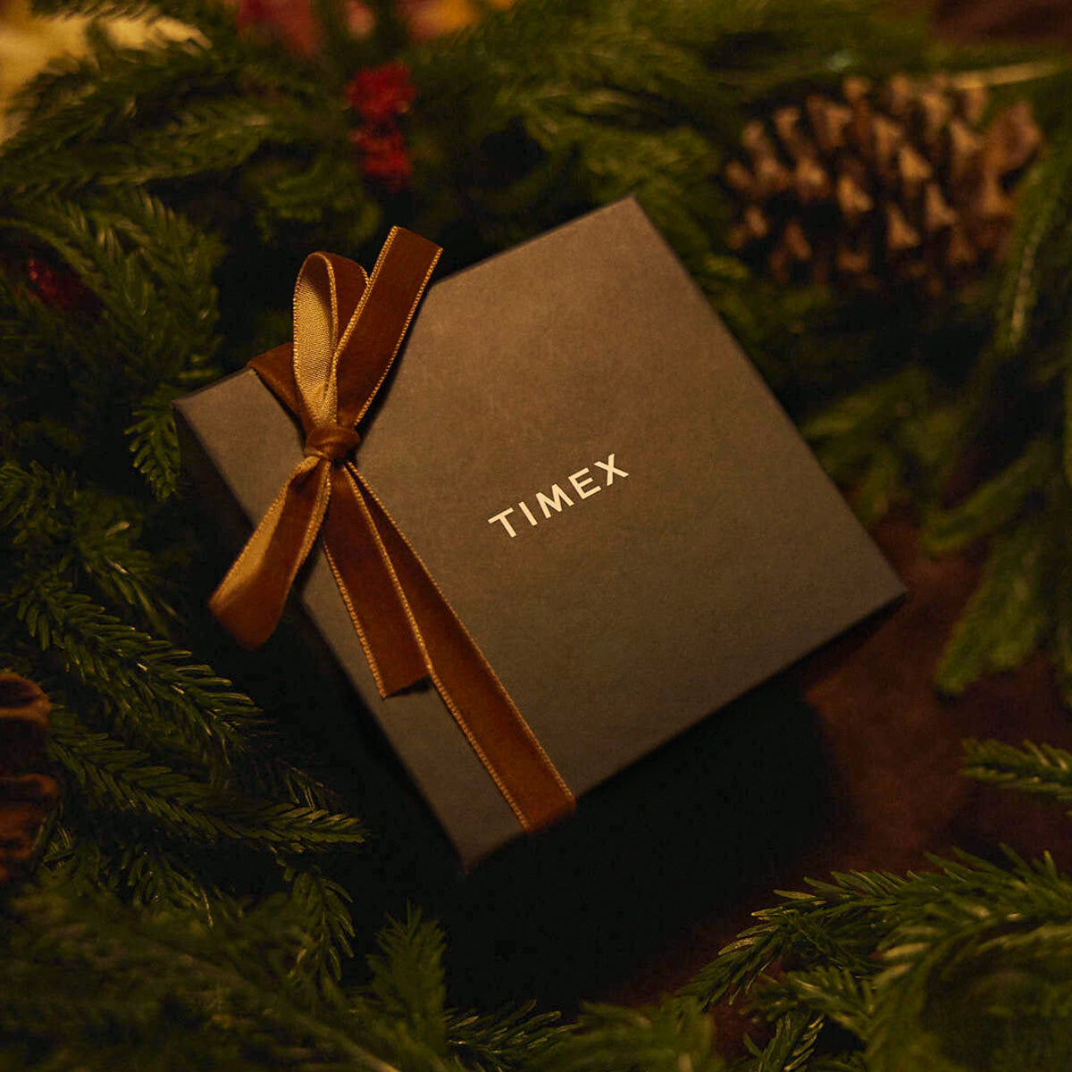 Caja de regalo de Timex atada con una cinta dorada, rodeada de ramas de árboles de hoja perenne y piñas.