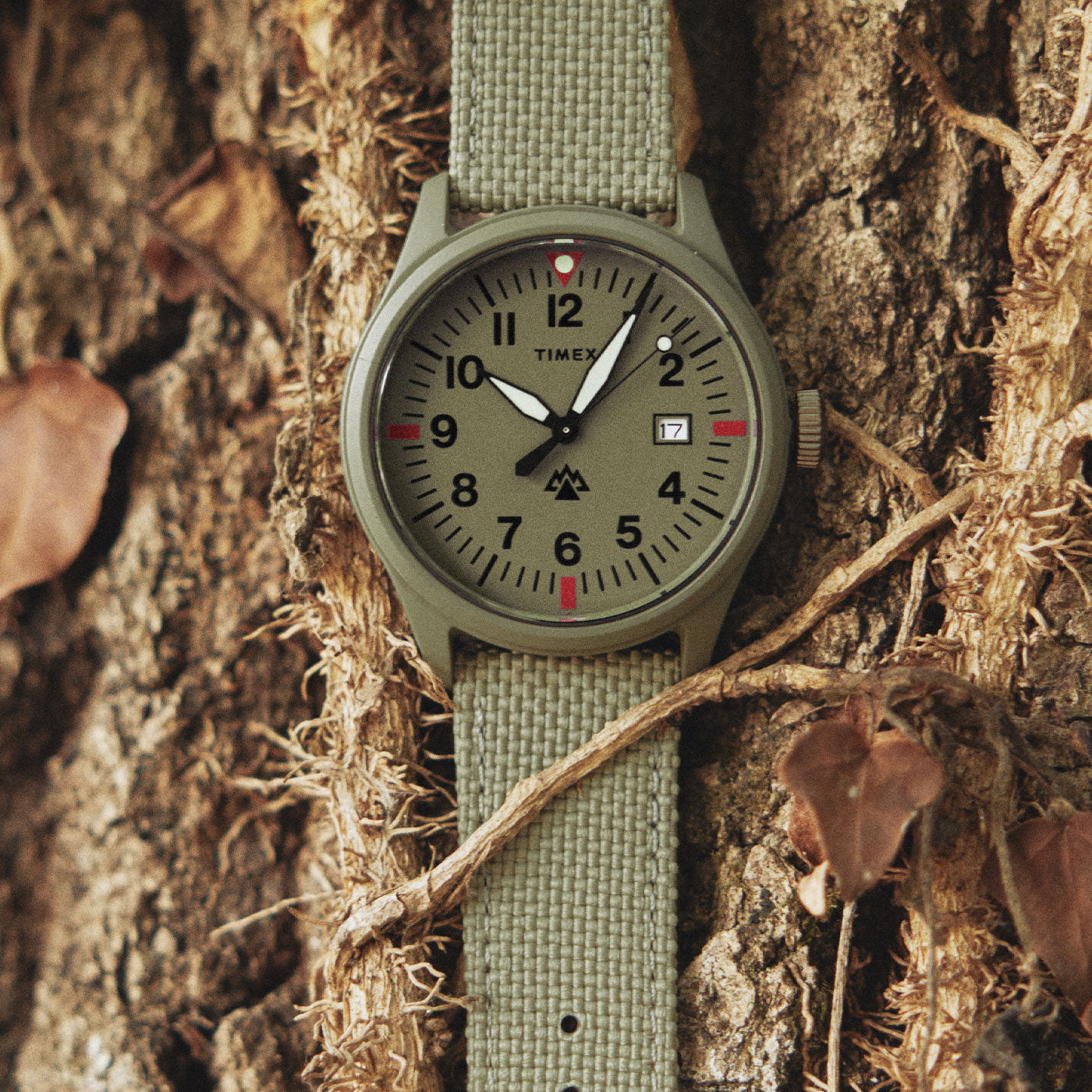 Timex Analog White Dial Men's Watch - TWEG14512 : Amazon.in: Fashion