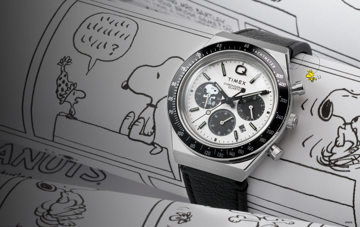 Q Timex Chronograph x Peanuts Snoopy Leather Strap Watch  