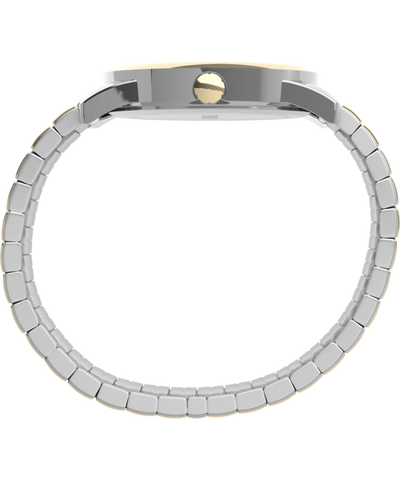 TW2P81400 Easy Reader Date 38mm Expansion Band Watch Profile Image