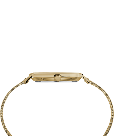 TW2R36100 Transcend™ 34mm Mesh Band Watch Profile Image