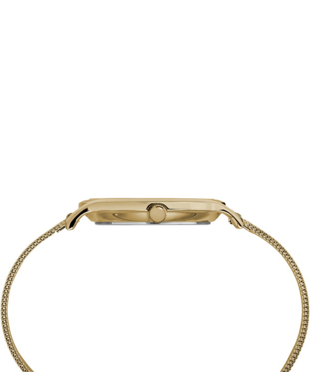 TW2R36100 Transcend™ 34mm Mesh Band Watch Profile Image