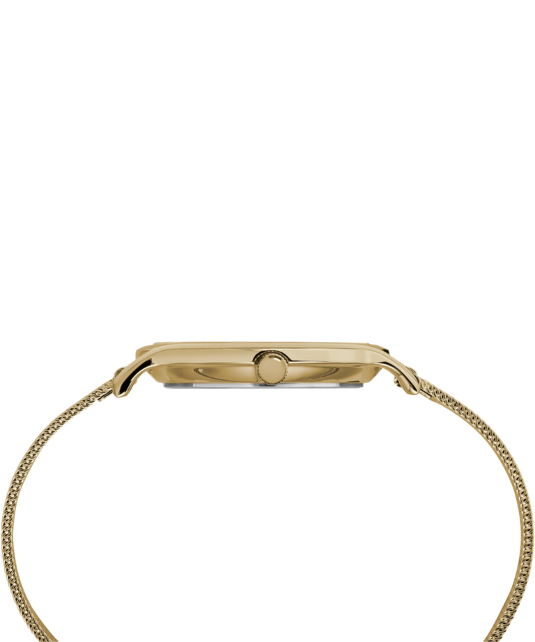 TW2R36100 Transcend™ 34mm Mesh Band Watch Profile Image