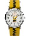 TW2R41100 Timex x Peanuts Charlie Brown 38mm Fabric Strap Watch Primary Image