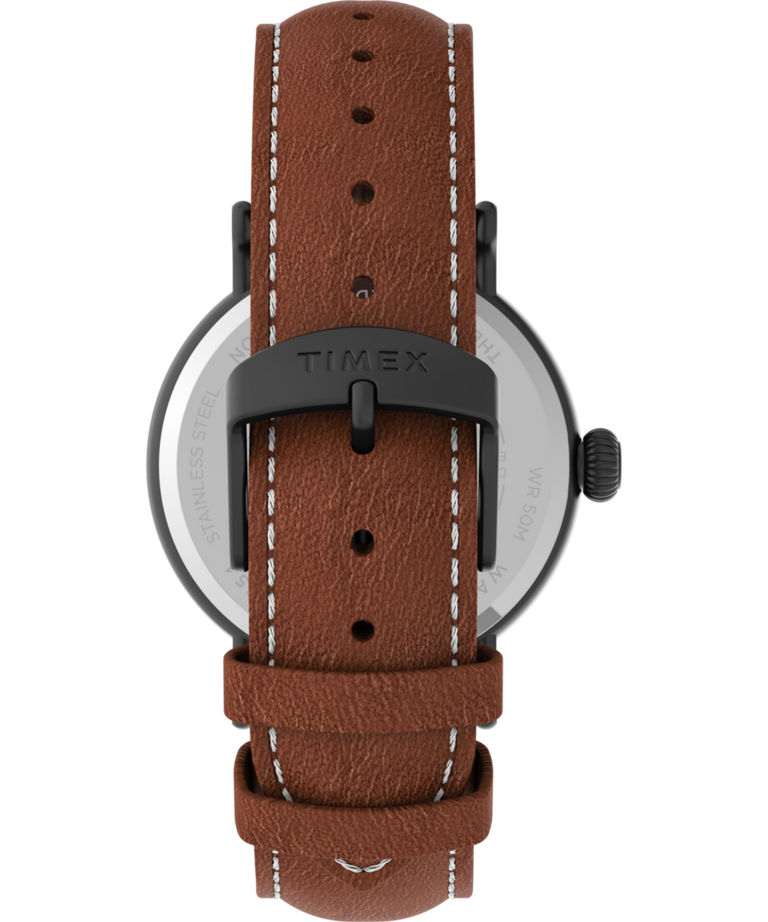 TW2U58600 Timex Standard 40mm Leather Strap Watch Strap Image