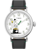 TW2U72300 Timex Standard x Peanuts Featuring Snoopy St Patrick's Day Primary Image