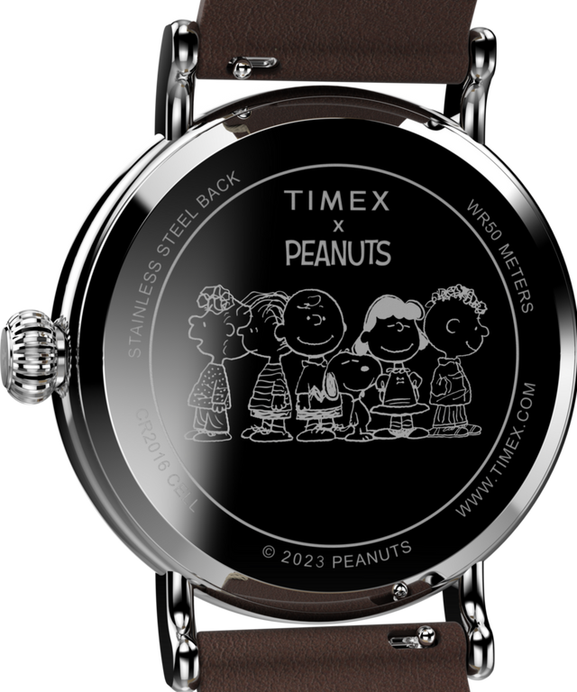 TW2V61200 Peanuts® x Timex Standard con Snoopy en la playa. Reloj de 40 mm con correa de piel. Imagen del fondo de la caja.