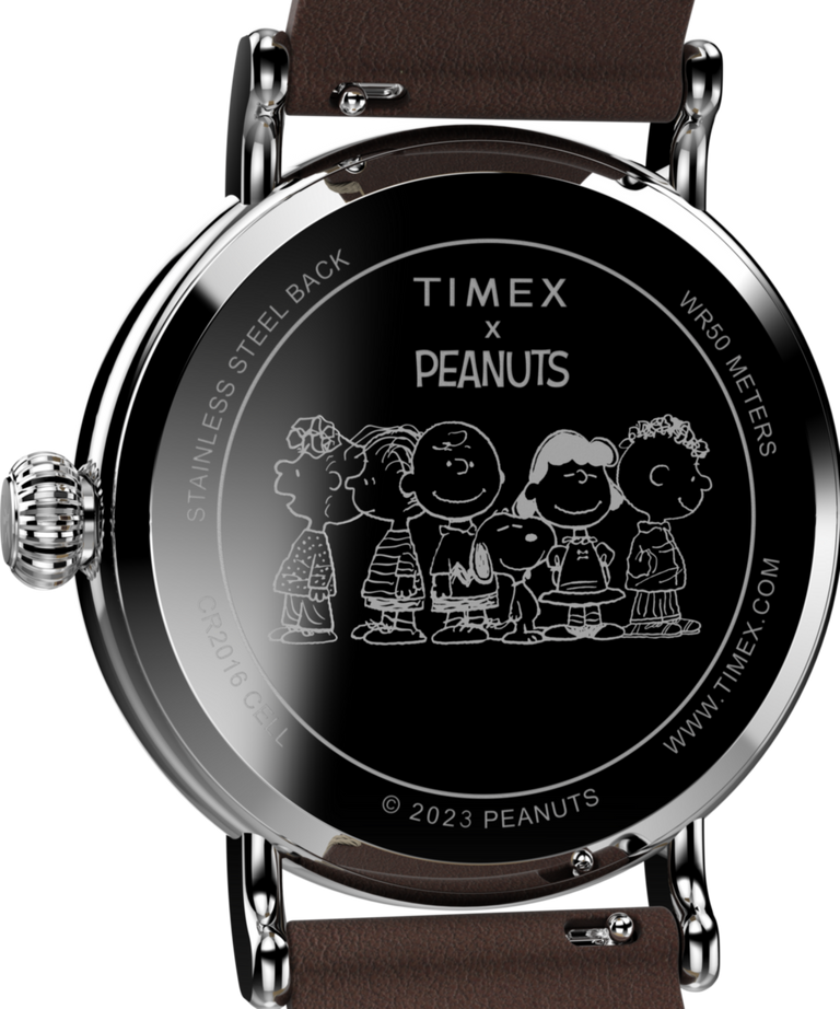 TW2V61200 Peanuts® x Timex Standard con Snoopy en la playa. Reloj de 40 mm con correa de piel. Imagen del fondo de la caja.