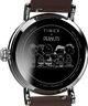 TW2V61200 Peanuts® x Timex Standard con Snoopy en la playa. Reloj de 40 mm con correa de piel. Imagen del fondo de la caja.