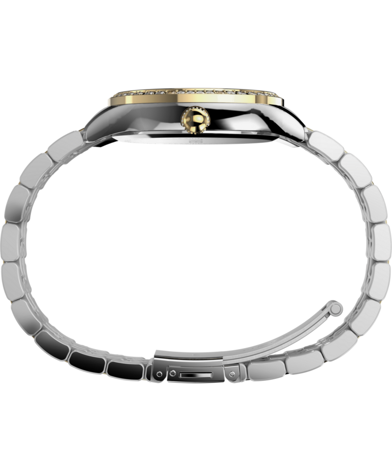 TW2W17900 Ariana 36mm Stainless Steel Bracelet Watch Profile Image