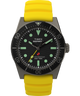 TW2W74800 Deepwater Reef 200 41mm Synthetic Rubber Strap Watch    Primary Image