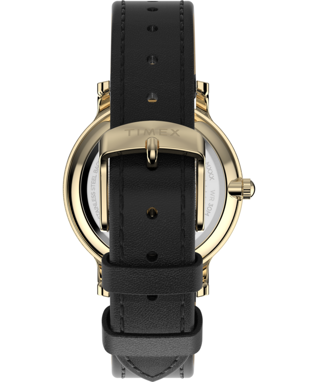 TW2W84600: Imagen de la correa de reloj de cuero de 34 mm de Transcend