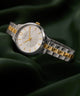TW2W98100 Peyton: reloj con brazalete de acero inoxidable de 32 mm. Siluetas clave de la campaña (fotos de producto). Imagen