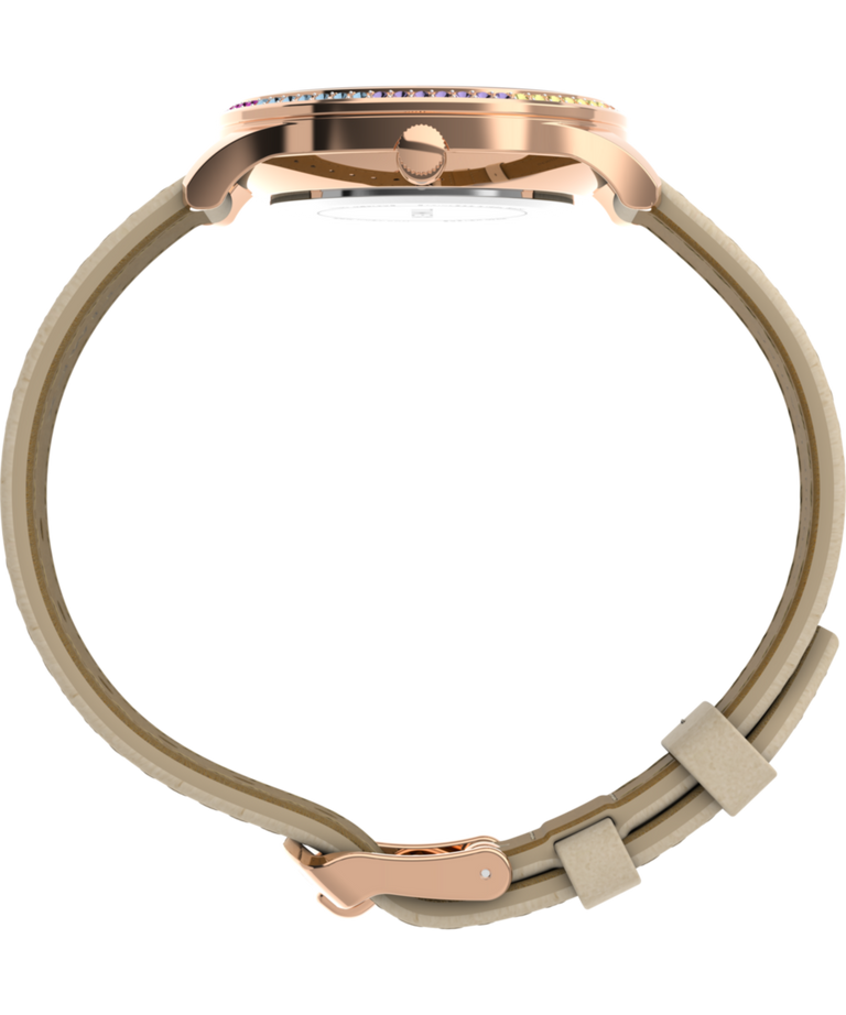 TW2Y06500 Dress 32mm Leather Strap Watch Profile Image