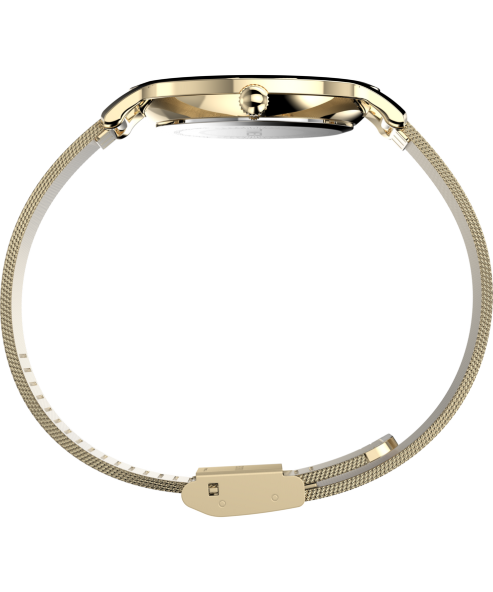 TW2Y07100 Transcend 34mm Stainless Steel Mesh Band Watch Profile Image