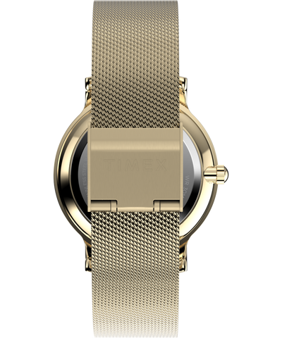 TW2Y07100 Transcend 34mm Stainless Steel Mesh Band Watch Strap Image