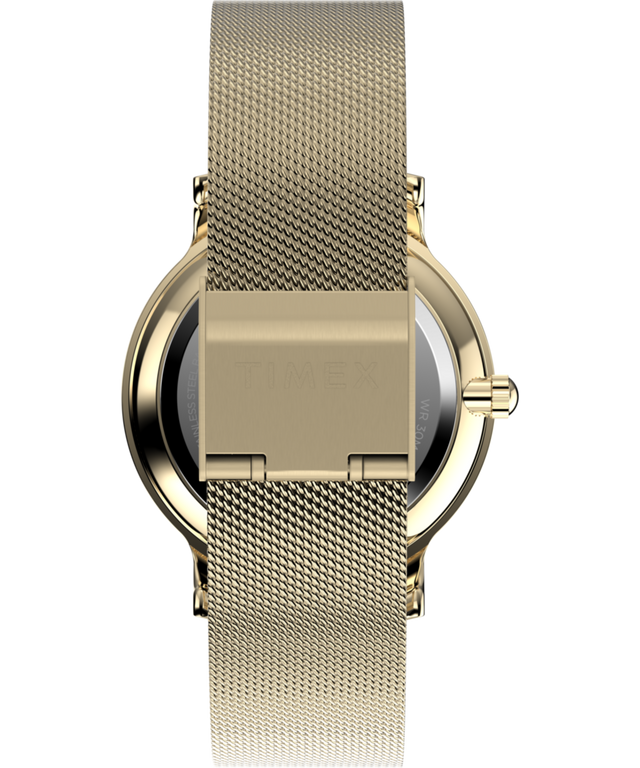 TW2Y07100 Transcend 34mm Stainless Steel Mesh Band Watch Strap Image