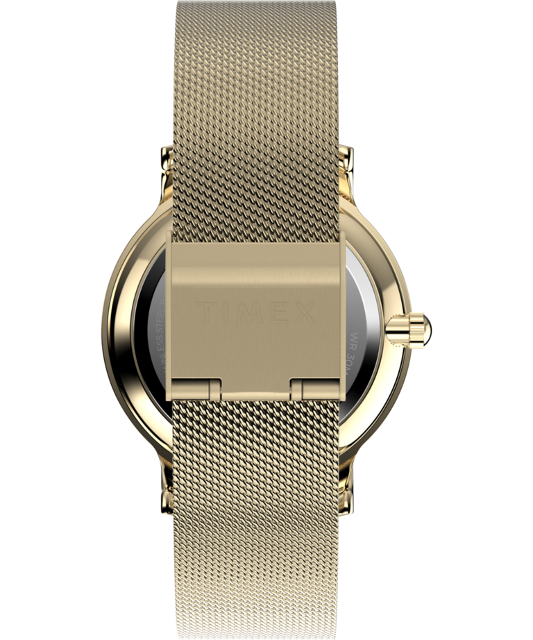 TW2Y07100 Transcend 34mm Stainless Steel Mesh Band Watch Strap Image