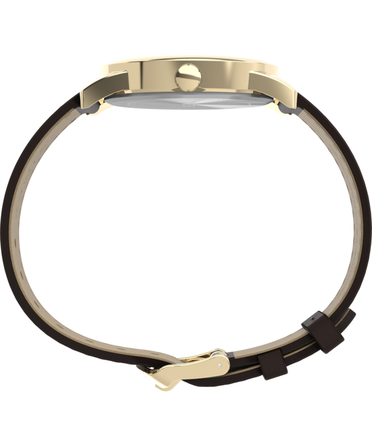 TW2Y12700 Easy Reader® Classic 38mm Leather Strap Watch Profile Image
