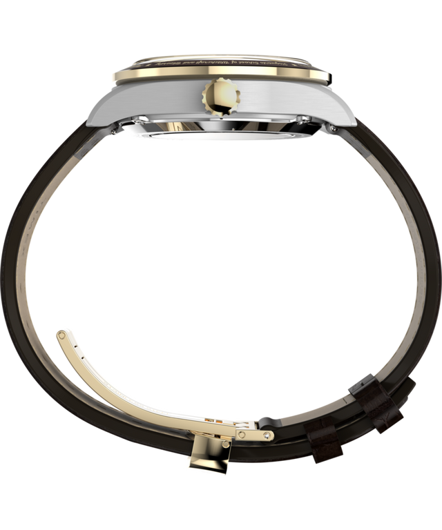 TW2Y75500 Reloj automático Harry Potter x Timex Waterbury Skeleton de 39 mm con correa de piel - Imagen de perfil