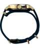 TW2Y76100 Harry Potter x Timex Weekender Butterbeer 40mm Fabric Strap Watch Profile Image