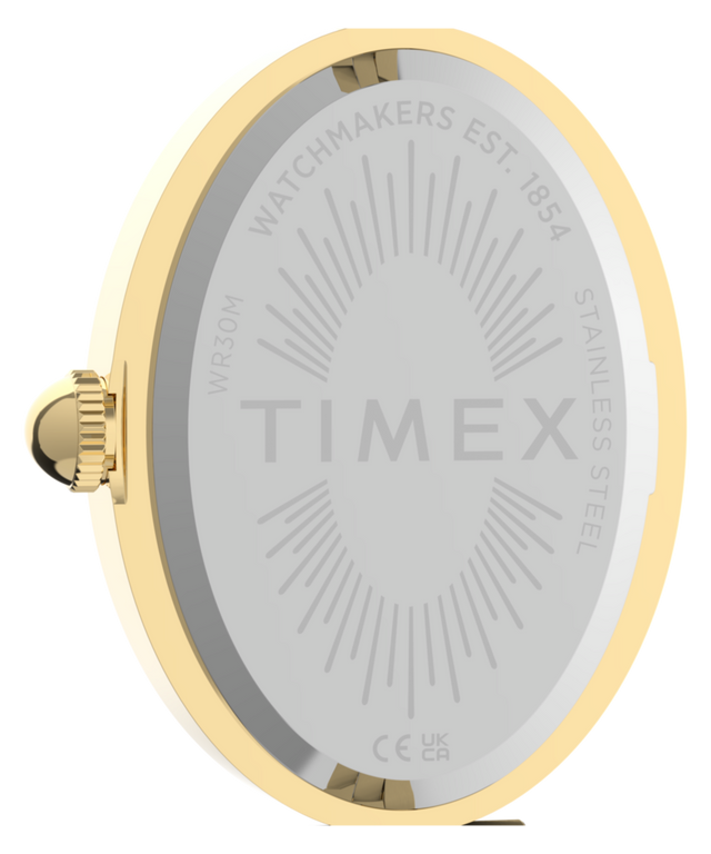 TW2Y86100 Reloj Cavatina® Luxe de 22 mm de acero inoxidable   Imagen del fondo de la caja