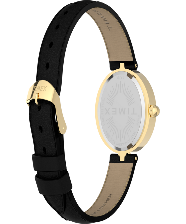 TW2Y86300 Cavatina® Luxe 22mm Leather Strap Imagen del fondo de la caja del reloj con accesorio