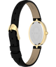 TW2Y86300 Cavatina® Luxe 22mm Leather Strap Imagen del fondo de la caja del reloj con accesorio
