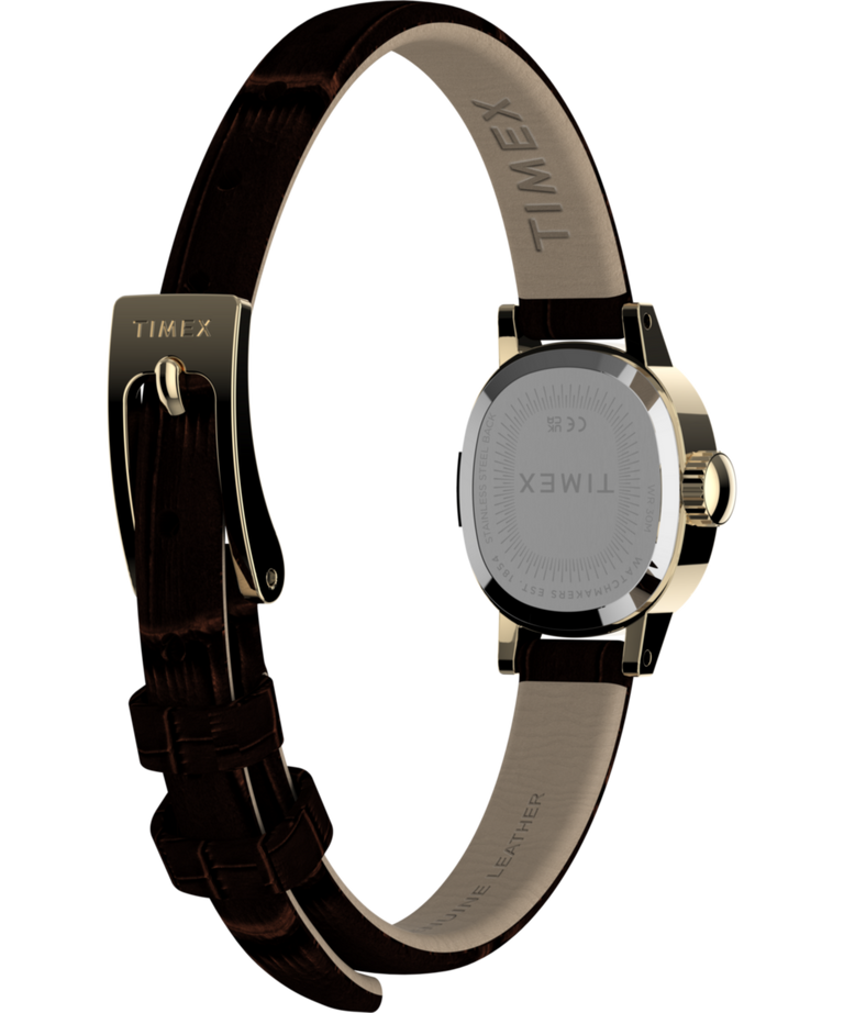 TW2Y87700 Reloj Cavatina® Mini con correa de piel de 17 mm   Imagen del fondo de la caja con el accesorio