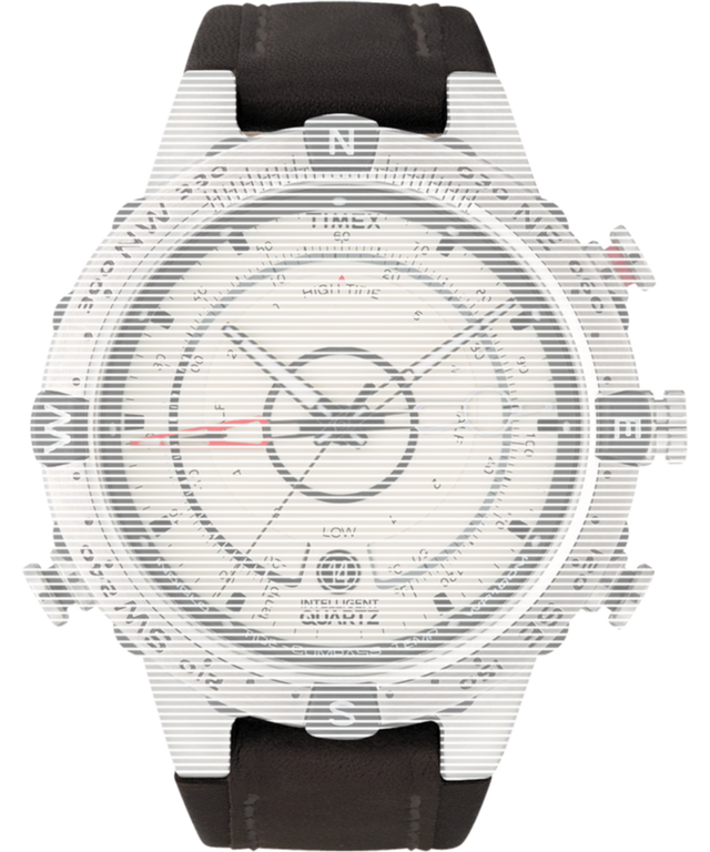 TW7C30800 Replacement Strap for Intelligent Quartz® Flyback Chronograph Primary Image