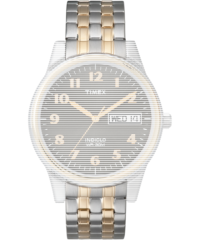 TW7C31000 Replacement Strap for Charles Street Primary Image