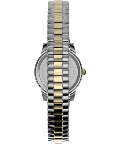 TWG062700 Essex Ave 25mm Stainless Steel Bracelet and Leather Strap Box Set Strap Image