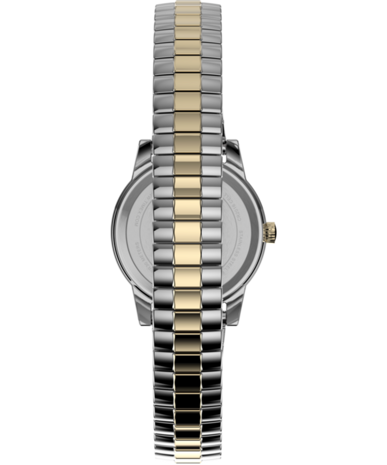 TWG062700 Essex Ave 25mm Stainless Steel Bracelet and Leather Strap Box Set Strap Image