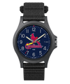 TWZBCARMY Pride St Louis Cardinals - Imagen Pride St Louis Cardinals